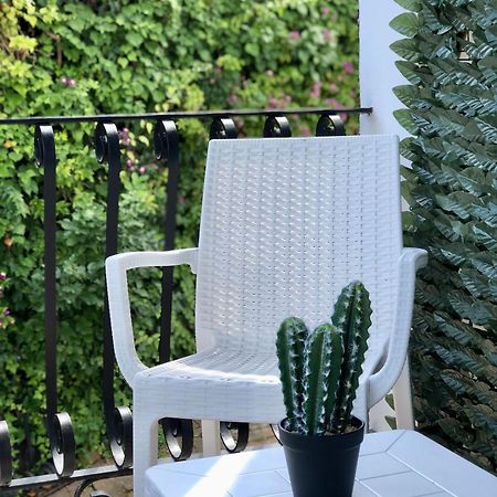 Villa Rosa Rooms Ischia Zewnętrze zdjęcie